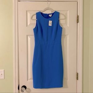 J Crew Dress